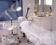 Slider image (7) Transmed Hair Transplant Hospital